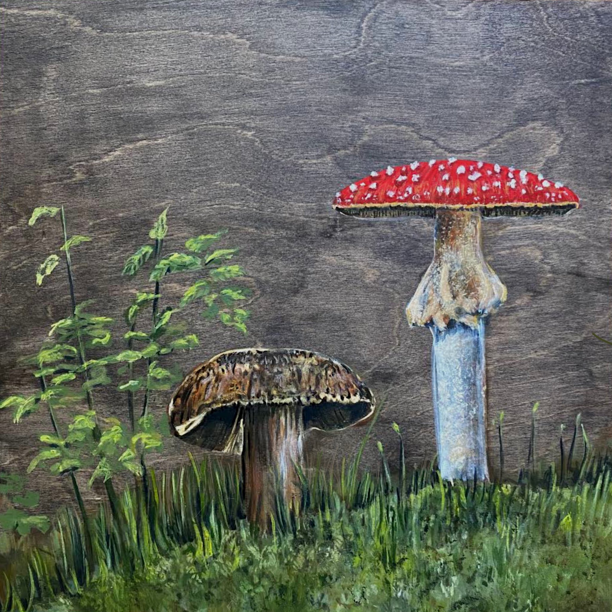 Carolyn West Fungi